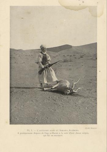 Le Sahara » / E.-F. Gautier, 1928, Fonds Jean Bisson, JB2_11, MSH de Dijon